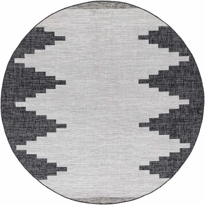 Hauteloom Djugun Polypropylene Indoor/Outdoor Area Rug